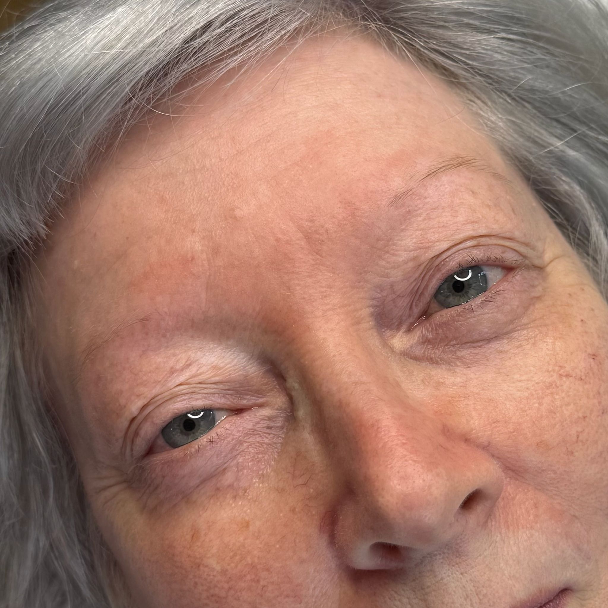 Combination Brows by Rebecca Ryther in Southend, Essex