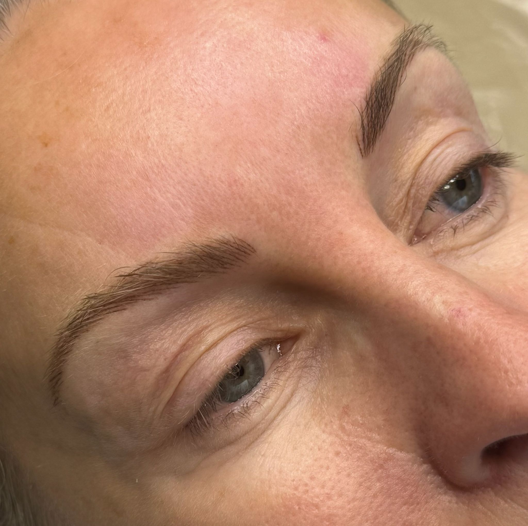 Hairstroke Brows by Rebecca Ryther in Southend, Essex