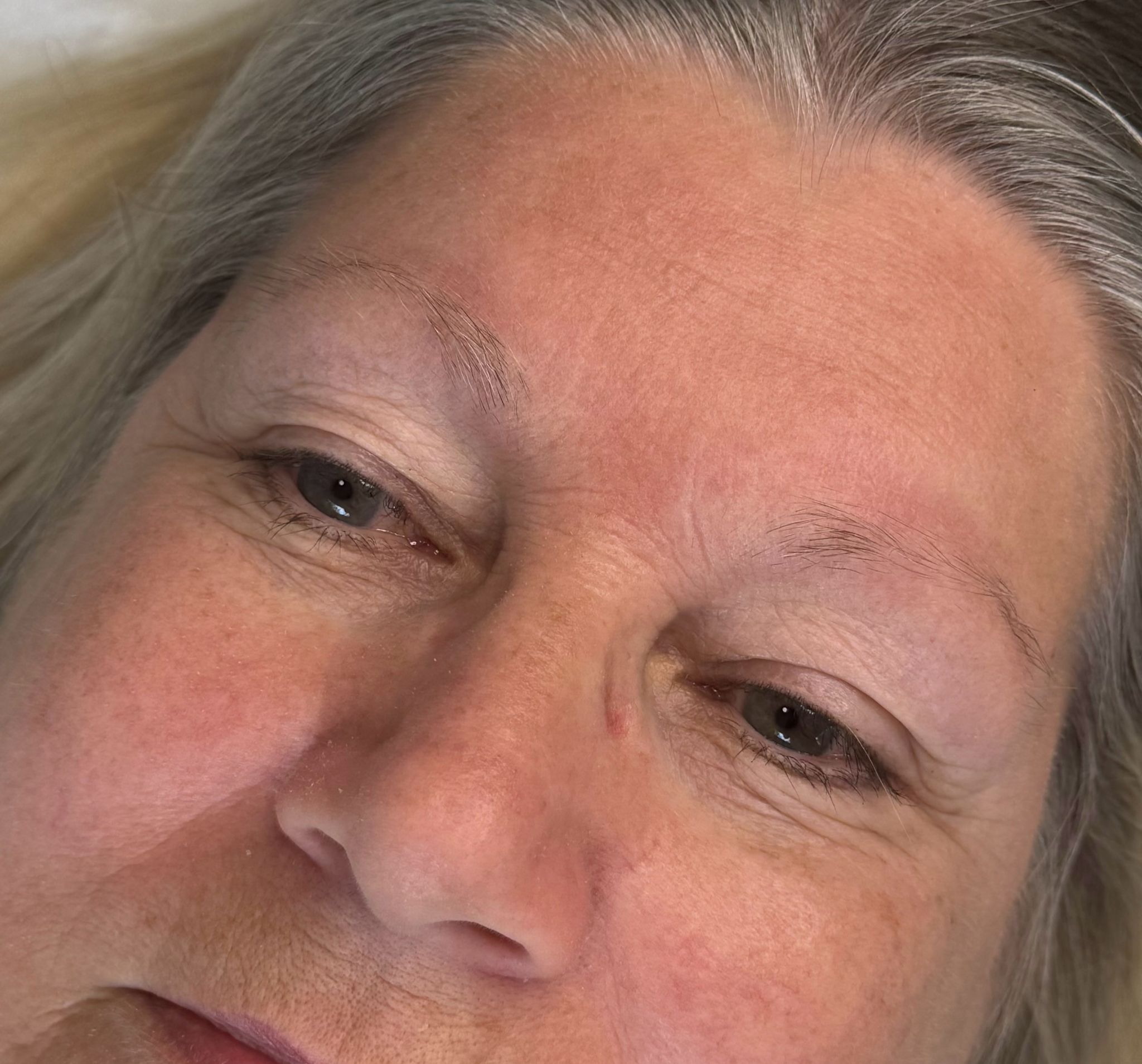 Hairstroke Brows by Rebecca Ryther in Southend, Essex