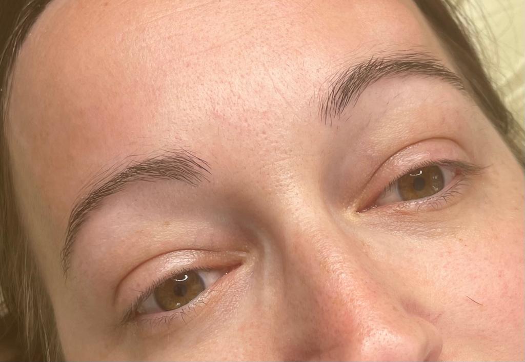 Hairstroke Brows by Rebecca Ryther in Southend, Essex